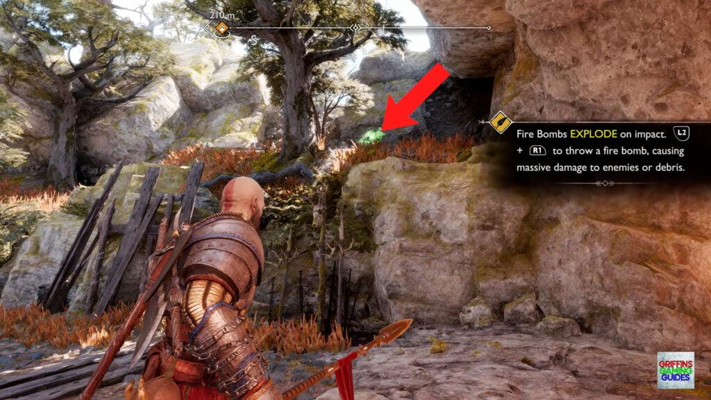 God Of War Ragnarök Odin's Raven 21