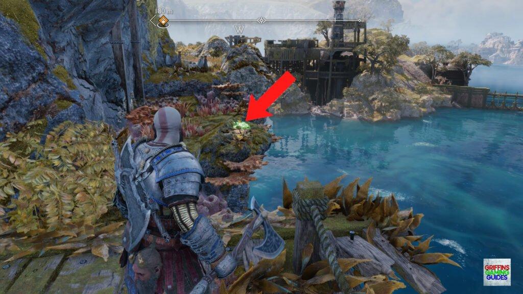 God Of War Ragnarök Odin's Raven 24