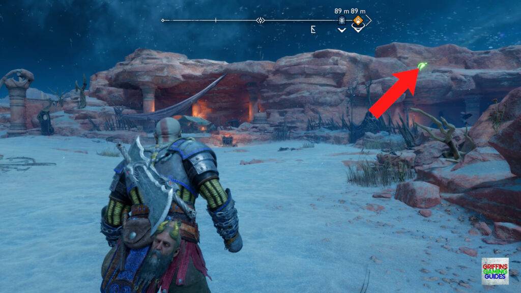 God Of War Ragnarök Odin's Raven 29