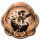 Remodeling Novice NIOH 2 Remodeling Novice trophy